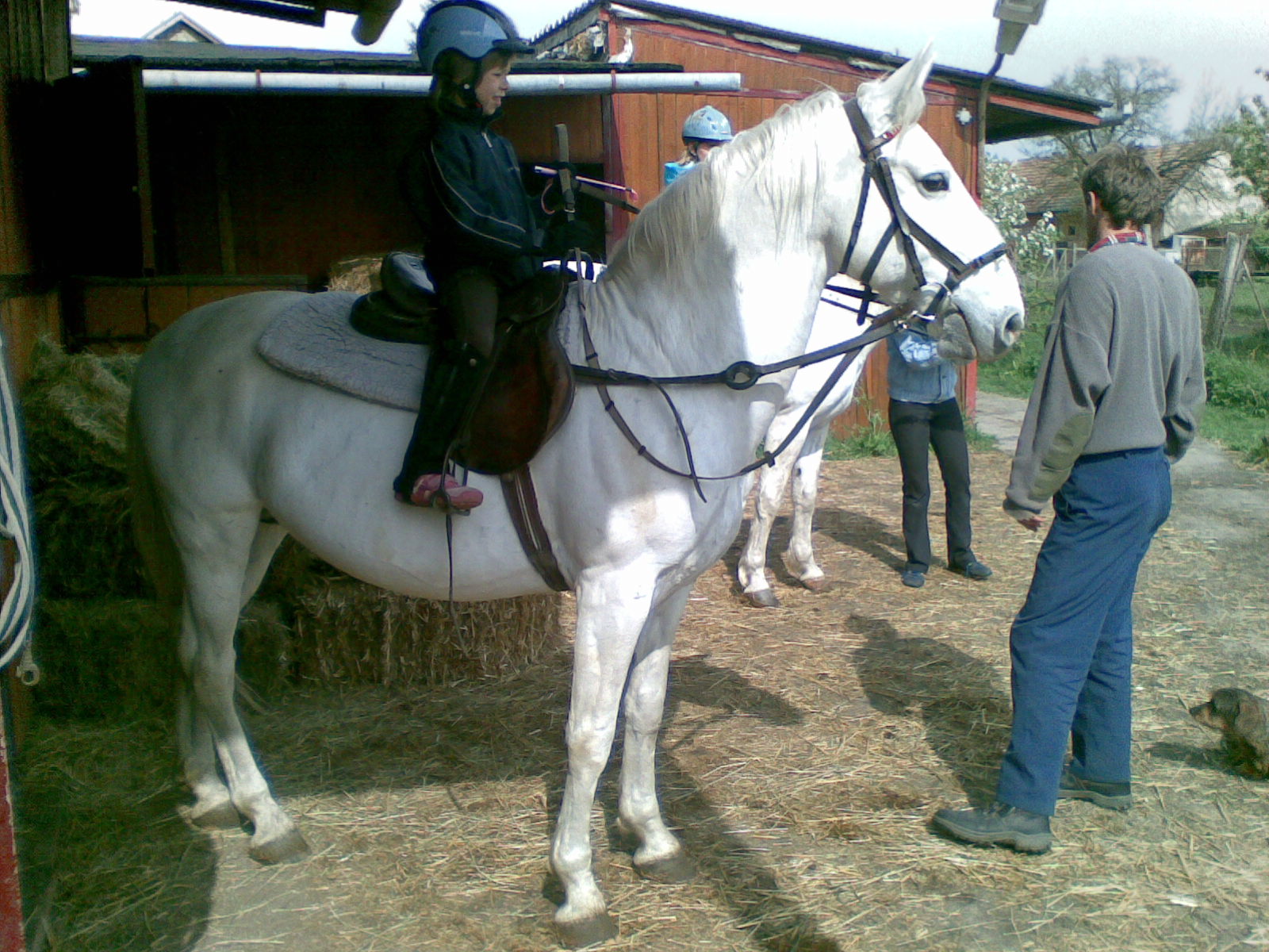 17042009(002).jpg